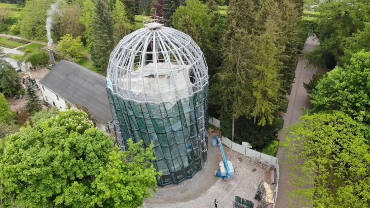 Nowa rotunda palmiarni ma coraz więcej szklanych elementów. Cały obiekt ma zostać przeszklony do sierpnia.