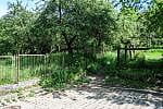 Dziki sad w Orłowie zmieni się w zadbany park.