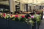 Restauracja Gvara w Gdańsku.