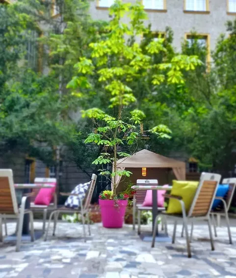 Restauracja La Fontaine w Gdańsku.