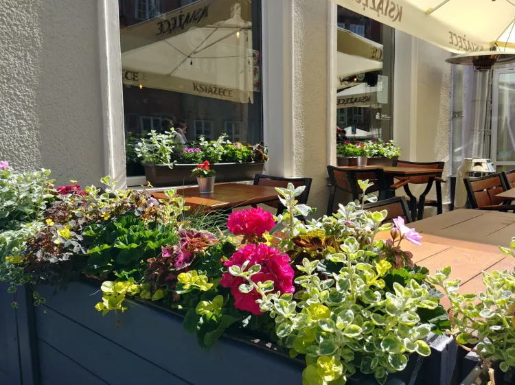 Restauracja Gvara w Gdańsku.