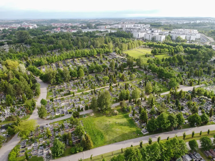 Pusty obszar zieleni na dole to lokalizacja przyszłego pomnika, który zajmie fragment tego terenu najbliżej alejki cmentarnej.