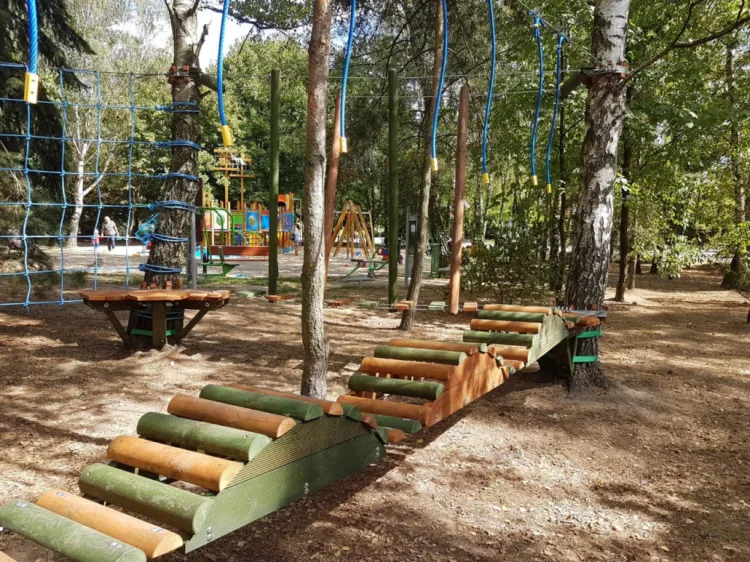 Jednym ze zwycięskich projektów jest budowa parku linowego na Dąbrowie. 