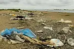 Plaża w rezerwacie przyrody "Mewia Łacha" jest pełna śmieci, głównie takich wyrzucanych z wody na brzeg.