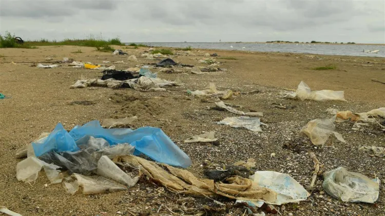 Plaża w rezerwacie przyrody "Mewia Łacha" jest pełna śmieci, głównie takich wyrzucanych z wody na brzeg.