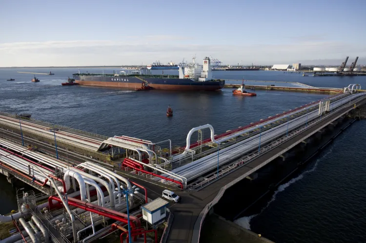 Naftoport jest jednym z największych naftowych terminali przeładunkowych na Bałtyku.

