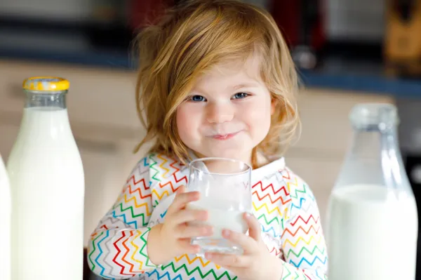 Nie ma potrzeby przy dobrze zbilansowanej, pełnowartościowej diecie nadal podawać dziecku, które skończyło już pierwszy rok życia, mleka modyfikowanego.