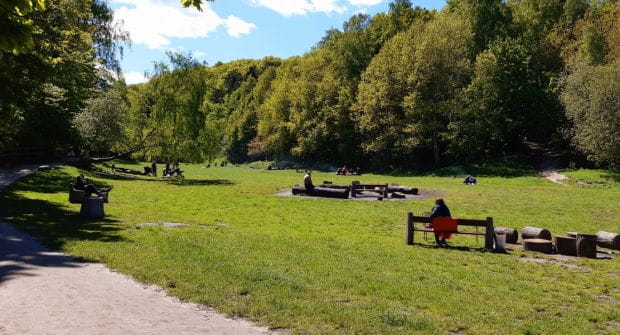 Podczas wirtualnej dyskusji publicznej padały zapewnienia, że polana piknikowa przy Polance Redłowskiej pozostanie w pełni dostępna dla mieszkańców.