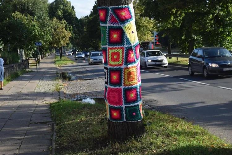 Zdaniem mieszkańca Oliwy sweter na drzewie to element szkodliwej ideologii LGBT. W rzeczywistości to efekt wielomiesięcznej pracy podopiecznych Centrum Integracji Społecznej w Gdańsku. 