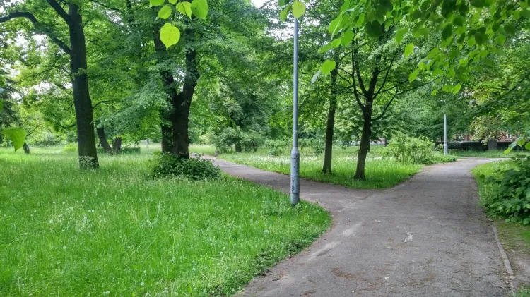 Na terenach parkowych pomiędzy Centrum Sportu Akademickiego PG a Bramą Oliwską znajdowały się niegdyś cmentarze. Większość z nich została zlikwidowana na przełomie lat 60. i 70.