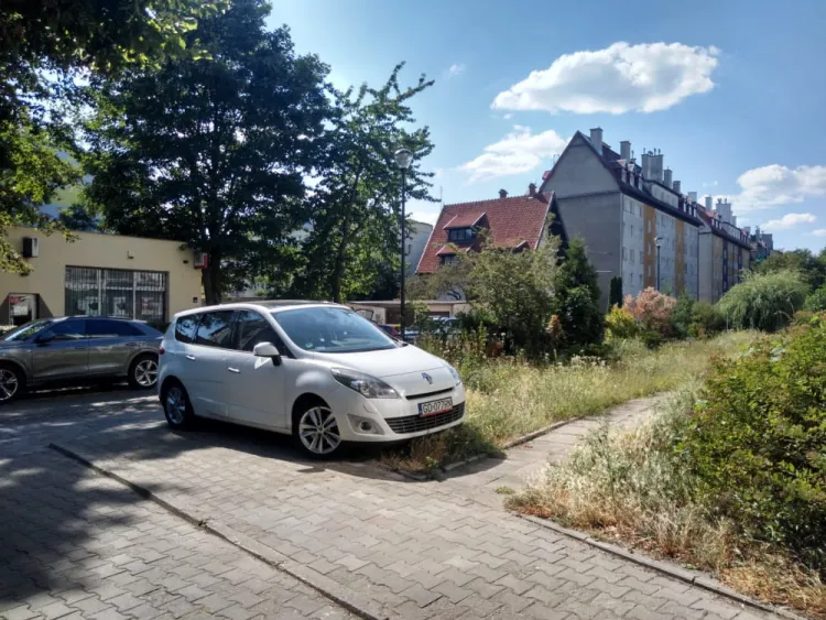Radni dzielnicy Brzeźno mają dość parkowania przez kierowców na chodnikach i pasach zieleni i chcą zapytać mieszkańców, czy w dzielnicy nie uruchomić poboru opłat w ramach strefy płatnego parkowania.