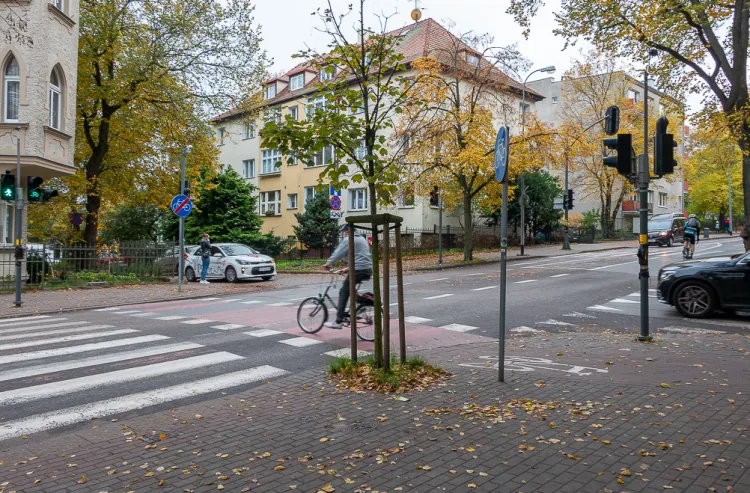 Wzdłuż ul. 3 Maja przewidziano wyznaczenie pasów rowerowych w jezdni.