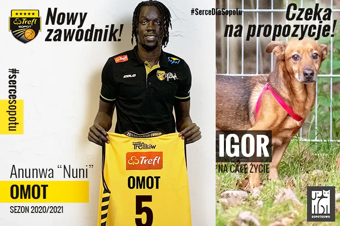 Anunwa Omot będzie grał dla Trefla z numerem 5. Tradycyjnie sopocki klub przy ogłaszaniu transferów promuje akcję adopcji psów ze schroniska "Sopotkowo".