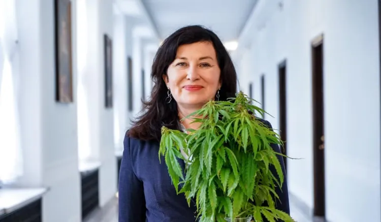 Gdańska posłanka Lewicy Beata Maciejewska to szefowa Parlamentarnego Zespołu ds. Legalizacji Marihuany.