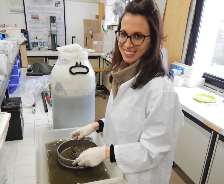 Włoska badaczka dr Sara Benelli kieruje na Uniwersytecie Gdańskim projektem badającym wpływ zmian klimatycznych i zanieczyszczenia Bałtyku nawozami na życie organizmów żyjących na dnie morza.
