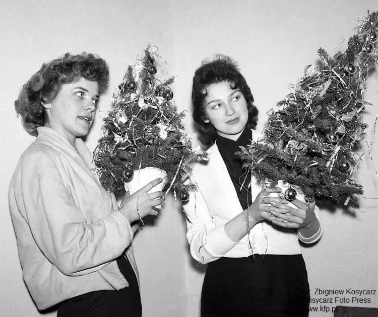Młode dziewczyny trzymają w rękach sztuczne choinki. W latach 60. była to absolutna nowość i niezwykle rzadko spotykany element świątecznego wystroju w polskich domach. Grudzień 1964 roku. 