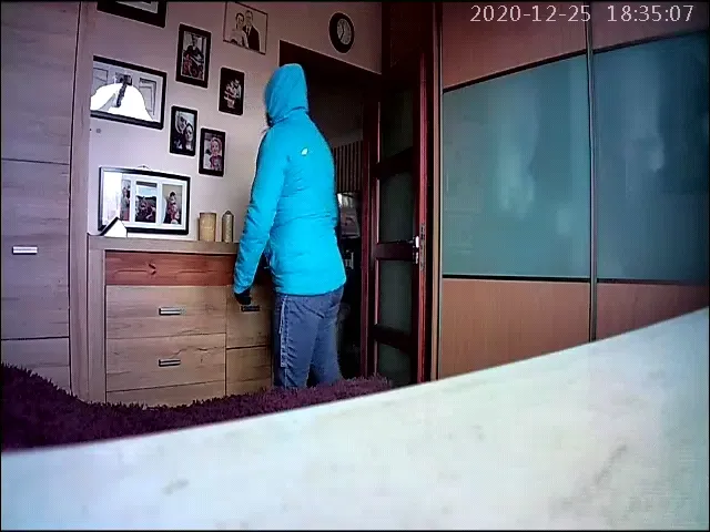 Dzięki ukrytej kamerze domownicy mogli zobaczyć, jak widziana przez nich ostatni raz ponad dwa lata temu niania buszuje w ich mieszkaniu.