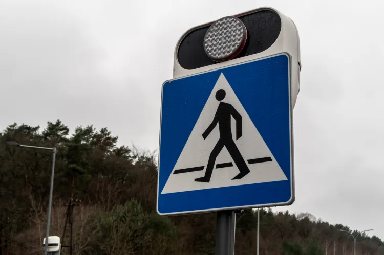 Dodatkowe elementy na przejściu dla pieszych na ul. Morskiej w Gdyni.
