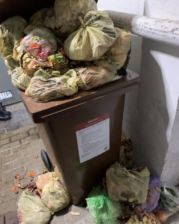 Przepełniony kosz z odpadami bio w Sopocie. Ich segregacja jest tam obowiązkowa od 1 stycznia 2021 r. 