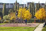 Teren rekreacyjny w Jarze Wilanowskim w jesiennej oprawie. 