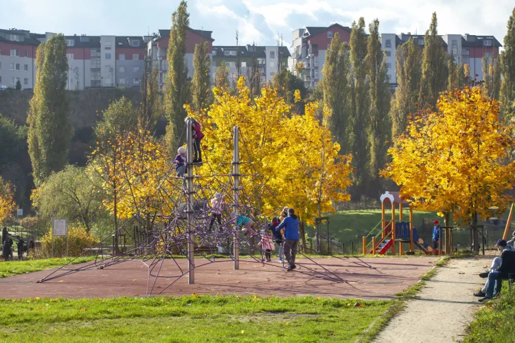 Teren rekreacyjny w Jarze Wilanowskim w jesiennej oprawie. 