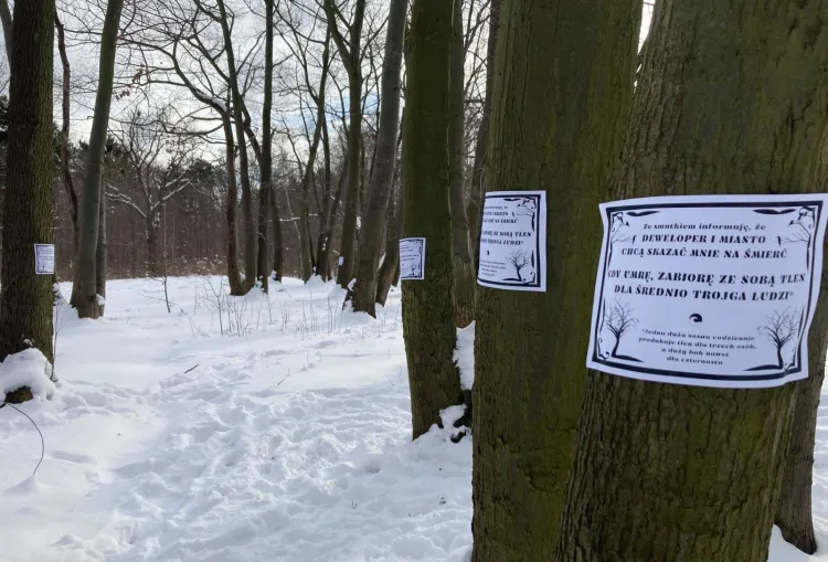 Kartki zostały rozwieszone na drzewach w terenie, gdzie przewidziana jest nowa zabudowa.