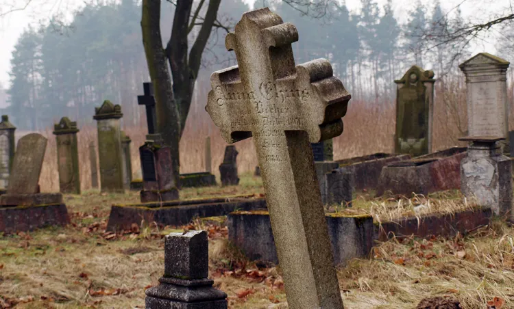 Anna i Krzysztof Jakubowscy przez dwa lata zwiedzali cmentarze Pomorza. Nz. cmentarz mennonicki w Barcicach.