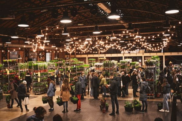 Festiwal Roślin to doskonała okazja, aby nadać swojemu mieszkaniu tropikalnego klimatu, kupując rośliny doniczkowe w okazyjnych cenach. Impreza odbędzie się 6-7 marca w Plenum.