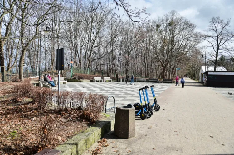 Park Jelitkowski zostanie zrewitalizowany. Urzędnicy szukają wykonawcy koncepcji.
