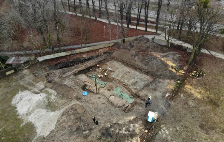 Prace archeologiczne na terenie parku Steffensów. Po prawej stronie u góry widać pozostałości po wyciętych w sobotę drzewach. Zdjęcie z 15 marca.