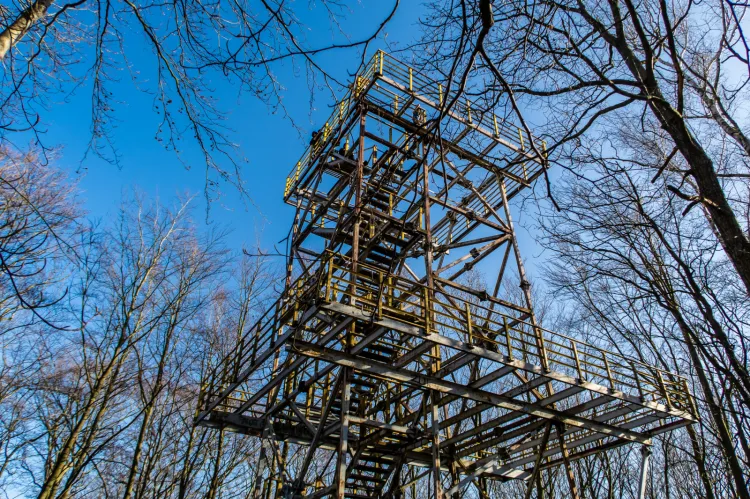 Wieża widokowa w lesie przy ulicy Kieleckiej oficjalnie jest niedostępna, ale nadal trafiają tu spacerowicze.
