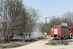 Strażacy gasili we wtorek, 20 kwietnia, pożar traw na Dolnym Mieście w Gdańsku.