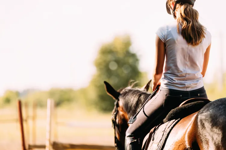 Jazda konna to połączenie aktywności fizycznej z obcowaniem z ciekawym, dostojnym zwierzęciem, jakim jest koń.