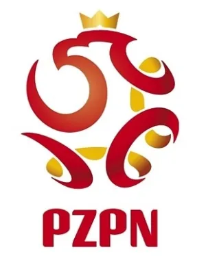 Takie logo zastąpiło na koszulkach polskich piłkarzy tradycyjnego orzełka.