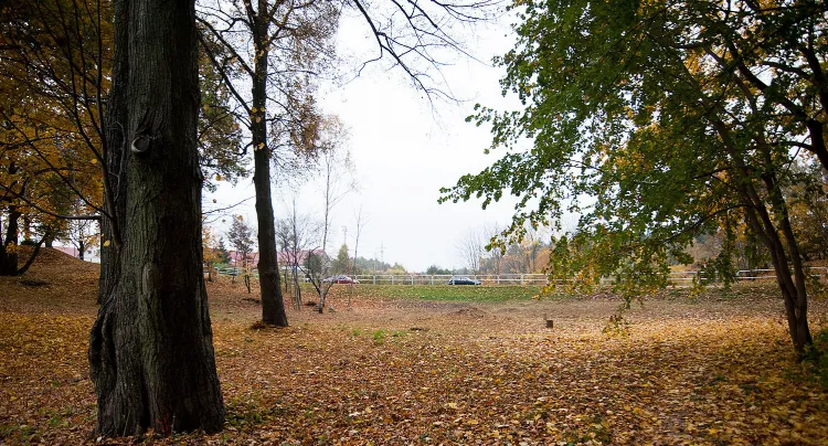 Mieszkańcy Trójmiasta mogą zabrać głos ws. otaczającego ich krajobrazu i wskazać, co im się w nim podoba, a co nie. Na zdjęciu park w Chwarznie w Gdyni.