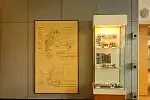 Najstarsza wystawa w Gdańsku liczy sobie 35 lat i można ją obejrzeć w Domu Przyrodników jeszcze tylko do 30 maja.