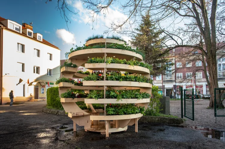 Growroom to ogród w formie kuli, który stanął w dzielnicy Strzyża.
