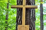 Zawieszony przez rodzinę krzyż upamiętniający śmierć Darii w lesie, blisko granicy Gdańska i Sopotu.