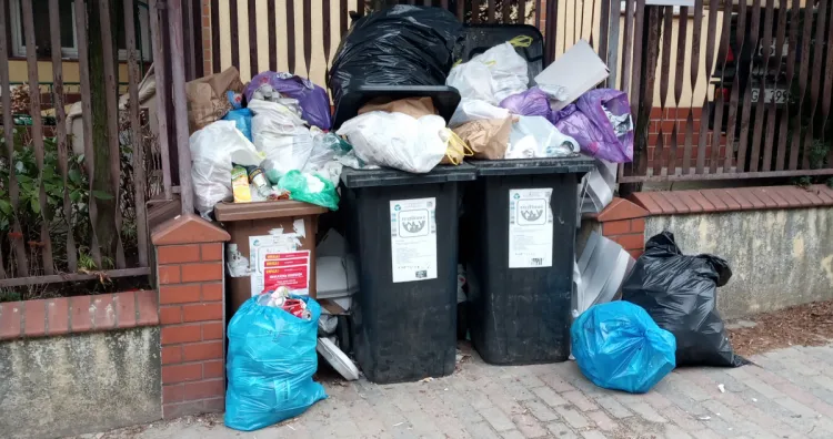 Niektórzy mieszkańcy twierdzą, że śmieci każdy może podrzucić, a to oni ponoszą konsekwencje rzekomego braku segregacji.