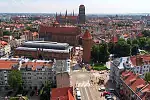Radni KO zaproponowali zasadzenia nowych drzew w centrum Gdańska. Radni PiS dodali do tego długą listę lokalizacji z terenu całego miasta.