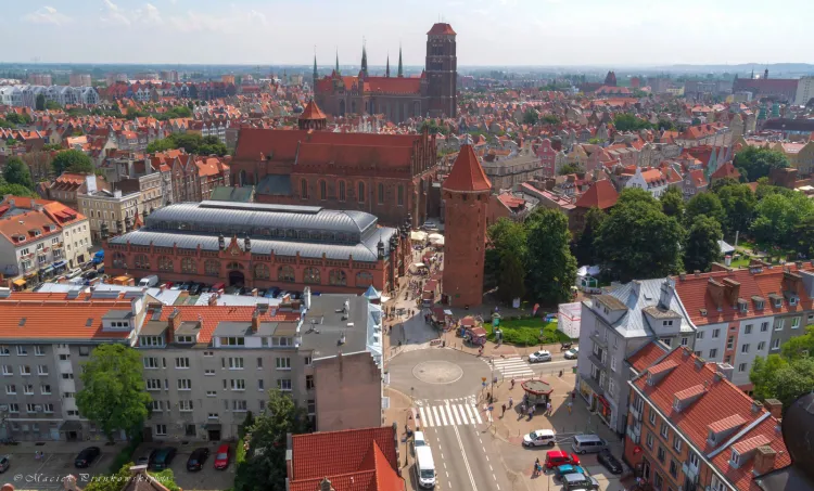 Radni KO zaproponowali zasadzenia nowych drzew w centrum Gdańska. Radni PiS dodali do tego długą listę lokalizacji z terenu całego miasta.