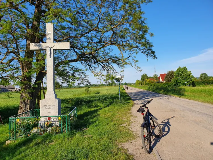 Wycieczka rowerowa nad Zatokę Pucką to zawsze dobry pomysł.