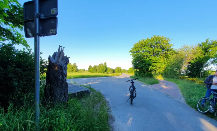 Wycieczka rowerowa nad Zatokę Pucką to zawsze dobry pomysł.