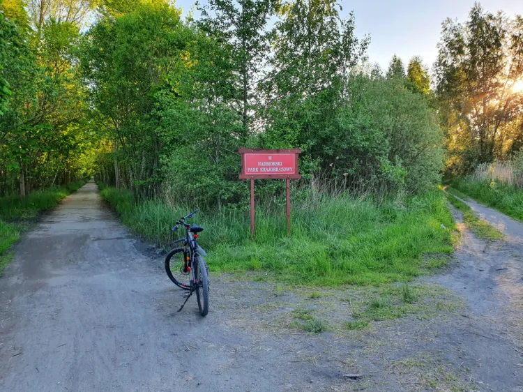 Wycieczka rowerowa nad Zatokę Pucką to zawsze dobry pomysł.