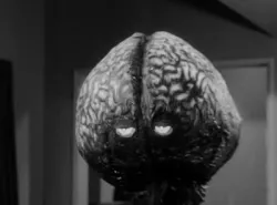 Popularność "Najgorszych Filmów Świata" dziwi tylko tych, którzy ich nigdy nie oglądali. Bo jak z kosmosu przybywa mózg, który chce zapanować nad rasą ludzką, trudno zachować powagę. "Mózg z planety Arous" inauguruje cykl w Kinie Neptun (piątek, godz. 18). 