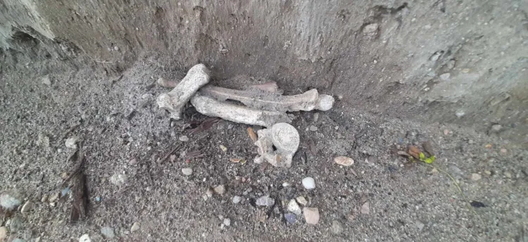 Zdjęcia najprawdopodobniej ludzkich szczątków, które w ubiegłą niedzielę można było zobaczyć w wykopie.