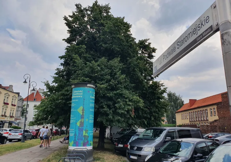 Wycinką zagrożone są drzewa przy Podwalu Staromiejskim. Wojewódzki konserwator zabytków wydał na to zgodę, uzależnioną od uzyskania pozwolenia na budowę parkingu.