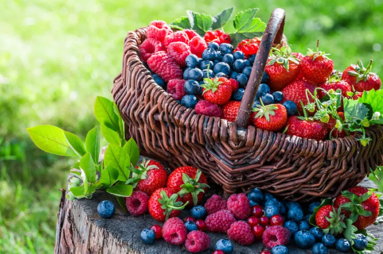 Owoce sezonowe są źródłem wielu witamin. Mają dobroczynne działanie na organizm, dlatego warto dodawać je do posiłków lub spożywać oddzielnie. 