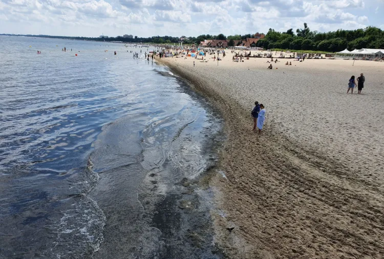 Choć glony codziennie rano są sprzątane z plaży, to część z nich pozostaje w wodzie i tam niestety gnije - tu widok z molo.