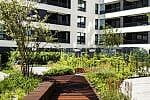 Portova w Gdyni. Patio pomiędzy budynkami mieszkaniowymi będące dachem hali garażowej zostało urządzone projektowaną zielenią. Znajduje się tu kilkadziesiąt gatunków roślin. 